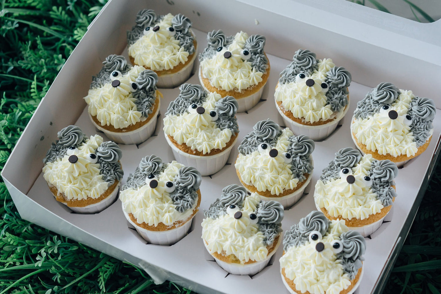Theme Cupcakes (Individual Box)