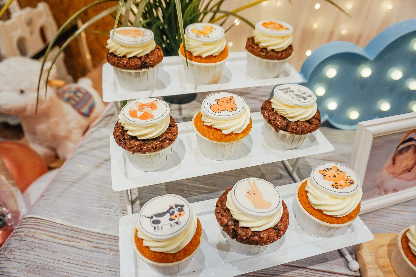 Theme Cupcakes (Individual Box)