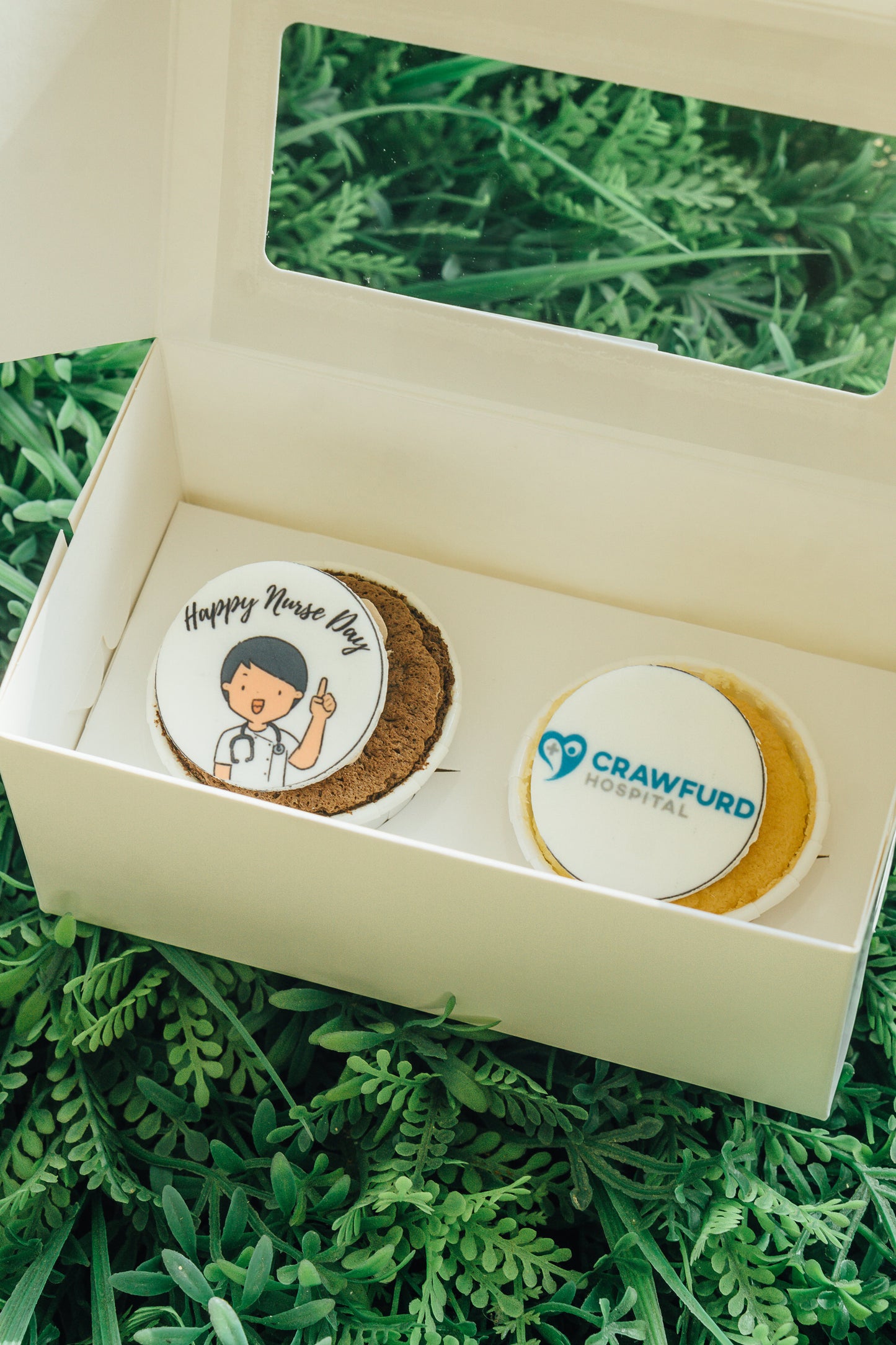 Theme Cupcakes (Individual Box)