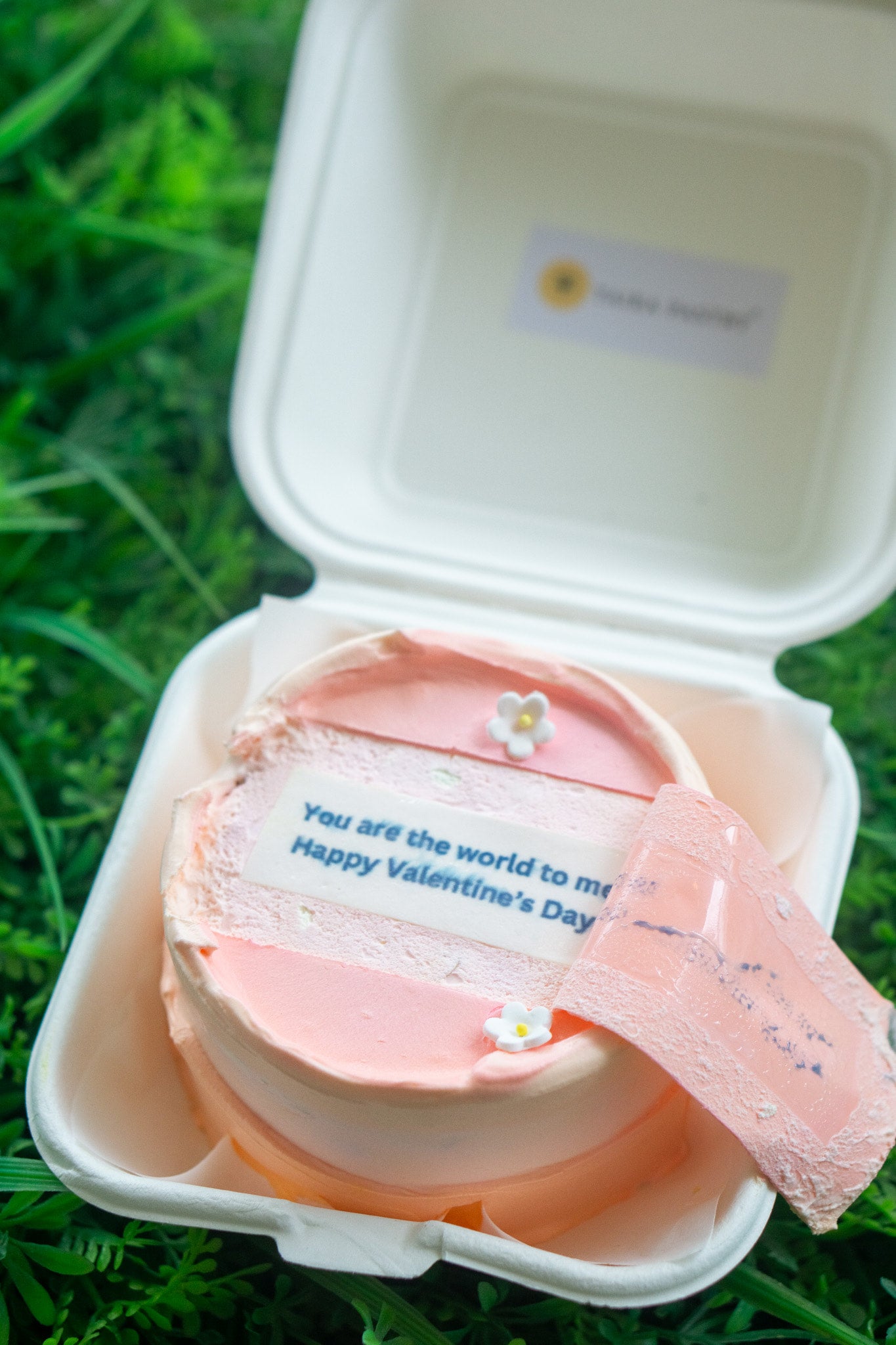 Secret Message Bento Cake