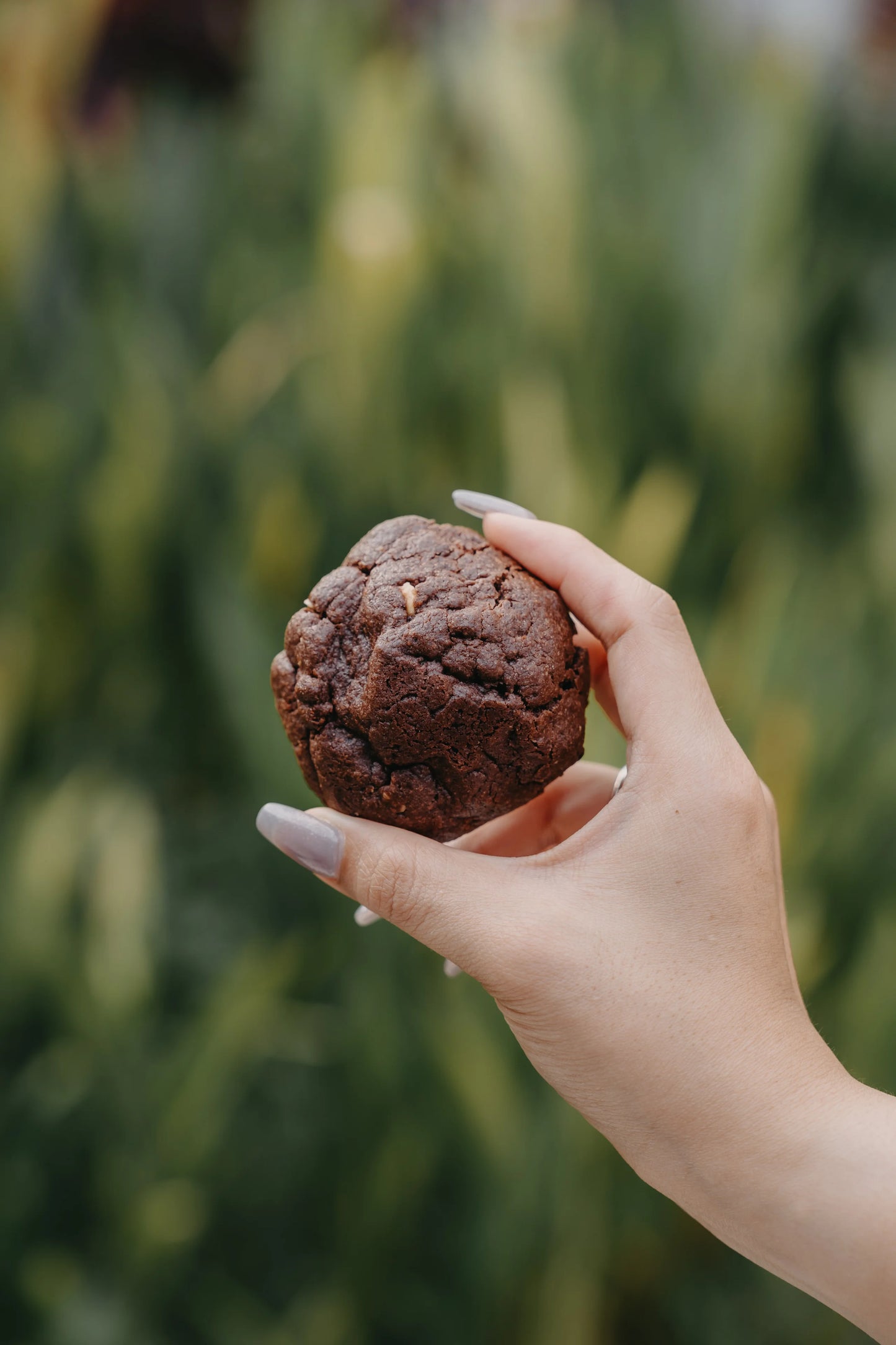 Chunky Cookies (Box of 6)