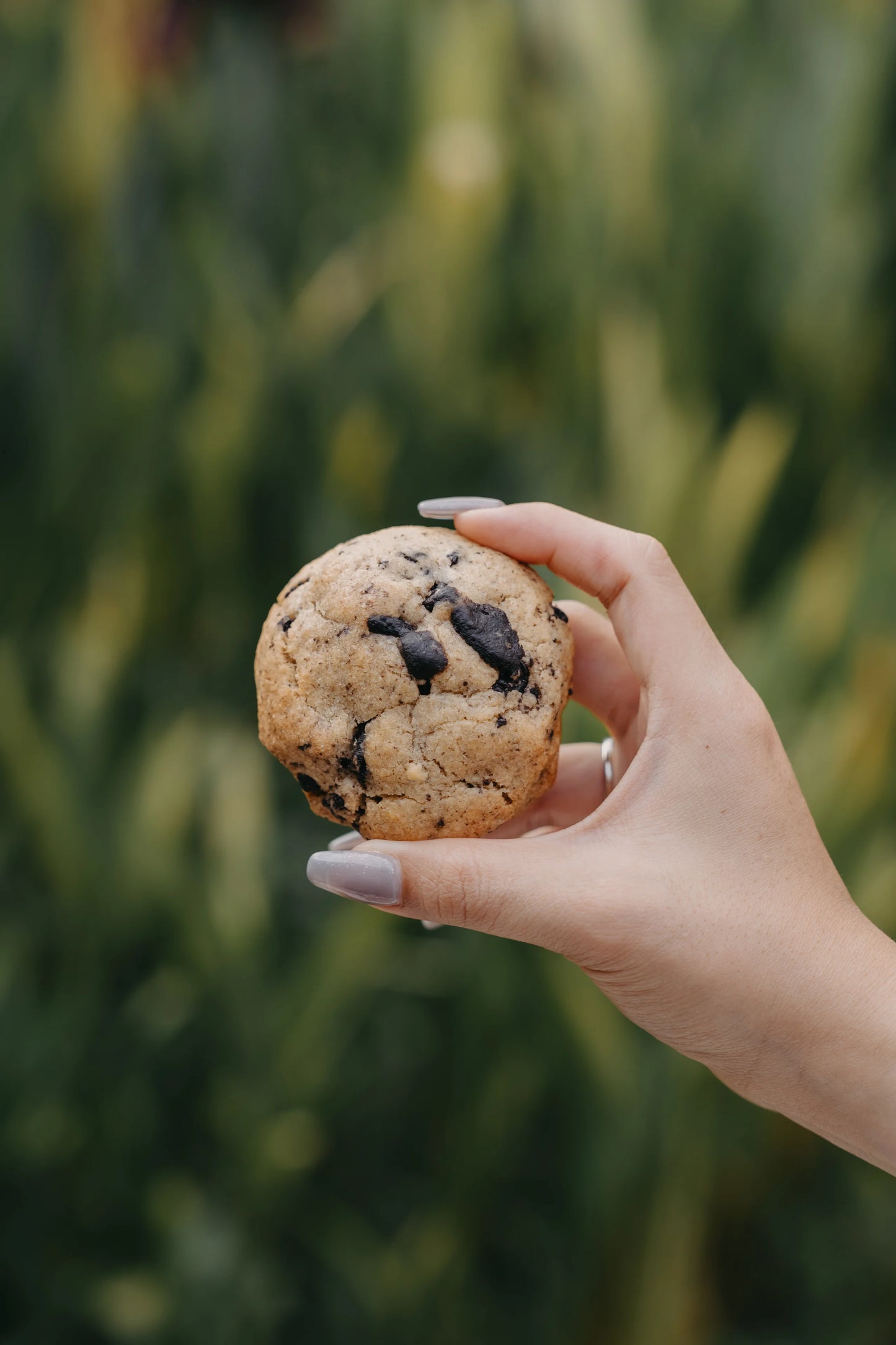 Chunky Cookies (Box of 6)