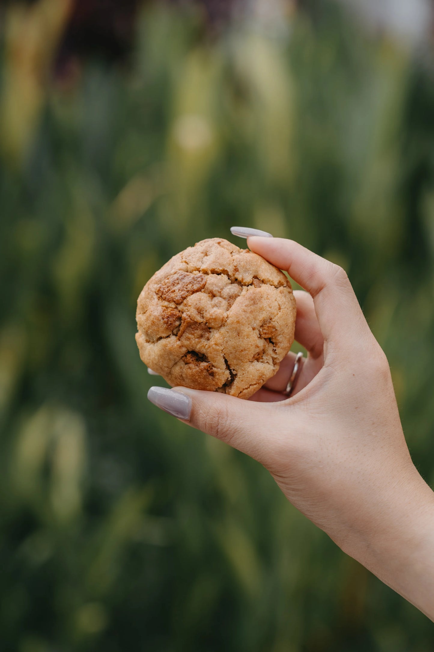Chunky Cookies (Box of 6)